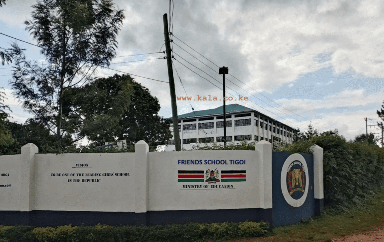 Friends School Tigoi (1)